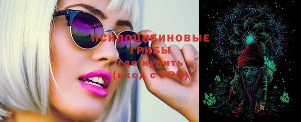 стаф Алексеевка
