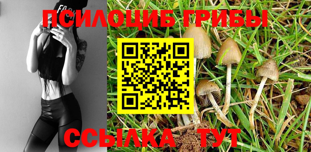 Галлюциногенные грибы мухоморы Чебаркуль
