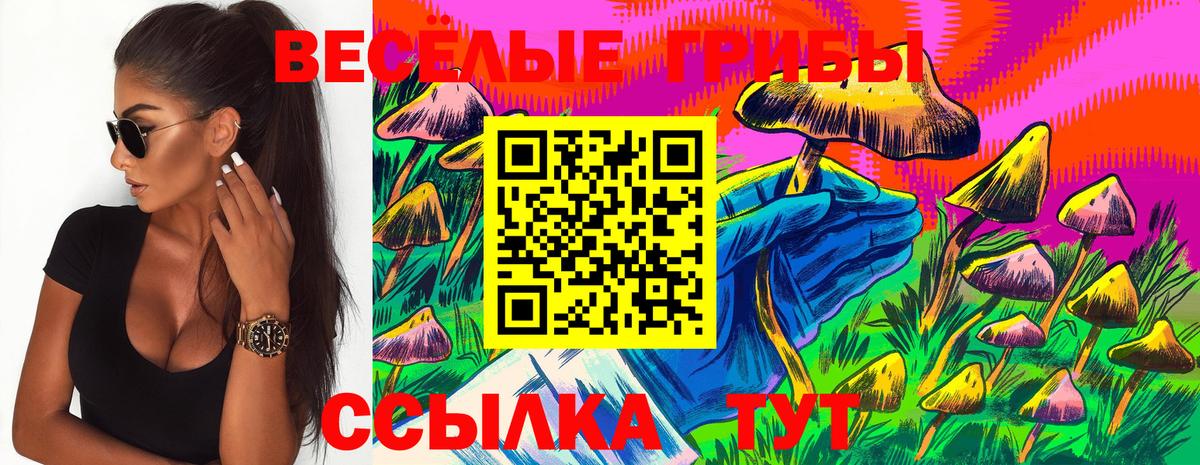 Галлюциногенные грибы мицелий  Галлюциногенные грибы Psilocybine cubensis  Вход с VPN  где можно купить наркотик  Чебаркуль 